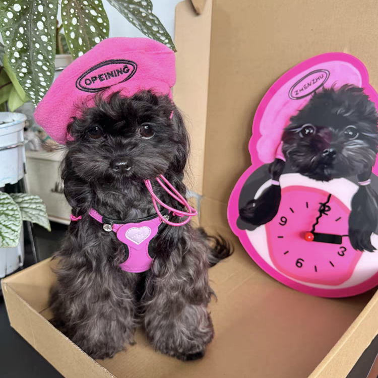 Personalized Pet Wall Clocks Available in Any Color and Any Pattern