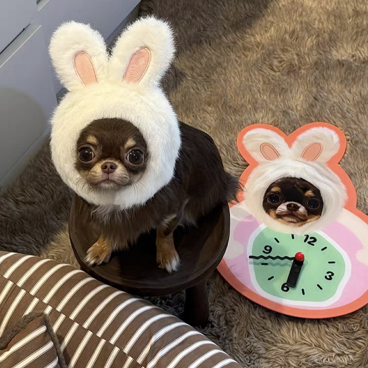 Personalized Pet Wall Clocks Available in Any Color and Any Pattern