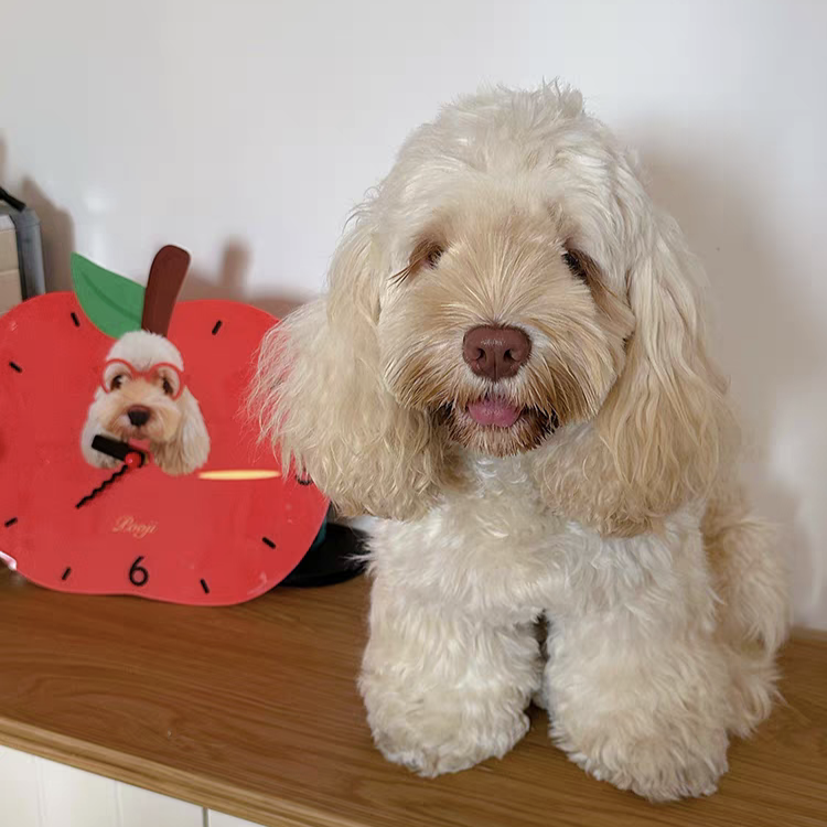 Personalized Pet Wall Clocks Available in Any Color and Any Pattern