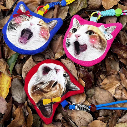 Custom Pet Portrait Mini Pouch with Zipper Perfect for Coins Keys or Small Essentials